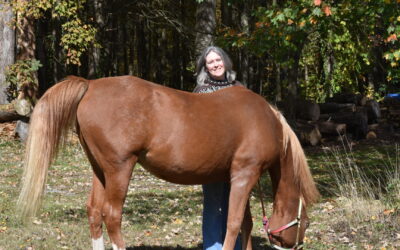 Is Animal Communication Real? What I’ve Learned From Years of Listening to Animals