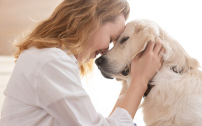 How Does Animal Communication Work? What Really Happens During a Session