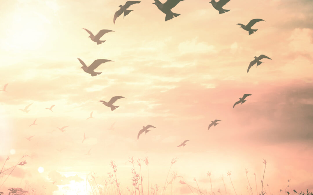 How Do I Begin to Trust Myself Again? Practical Steps to Rebuild Self-Trust