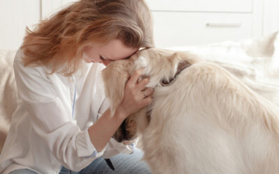 Can Anyone Learn Animal Communication?