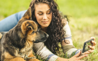 What Can Animal Communication Help With?