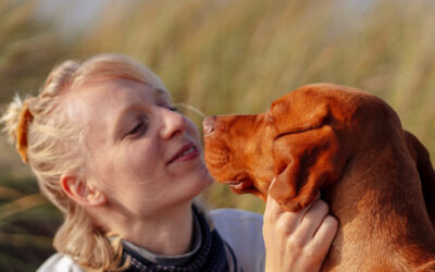 What Questions Should I Ask During an Animal Communication Session?